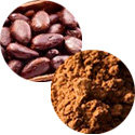 Экстракт какао-бобов и Какао в составе диеты
