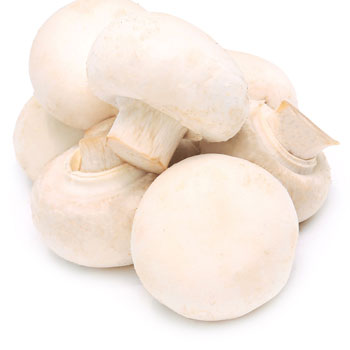 mushroom farm грибы дома