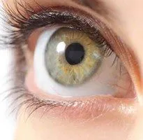 улучшить глазное кровообращение